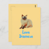 シャム猫を愛する ポストカード (正面/裏面)