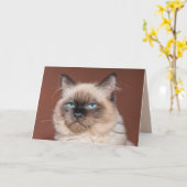 シャム猫グリーティングカード カード (黄色い花)