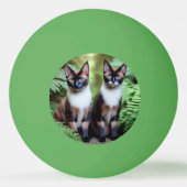 シャム猫ツインズピンポンボール 卓球ボール (裏面)