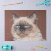 シャム猫ティッシュペーパー 薄葉紙 (クラフト)