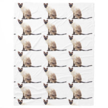 シャム猫ペットかわいいのどを鳴らす音動物の猫ちゃん