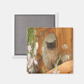 シャム猫ポーズ動物写真マグネット#1 マグネット (正面/裏面)