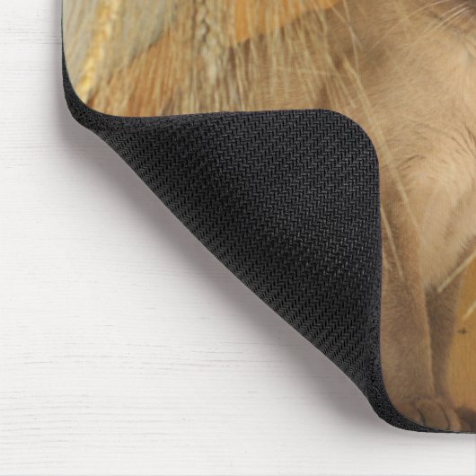 シャム猫ポーズ動物撮影マウスパッド#3 マウスパッド (コーナー)