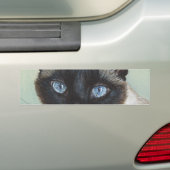 シャム猫マーフィー バンパーステッカー (車上)