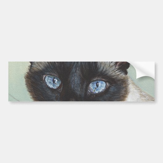 シャム猫マーフィー バンパーステッカー (正面)