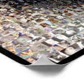 シャム猫モンタージュ ポスター (角)