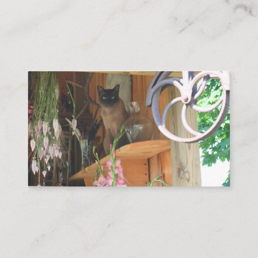 シャム猫動物写真ビジネスカード#2 名刺 (裏面)