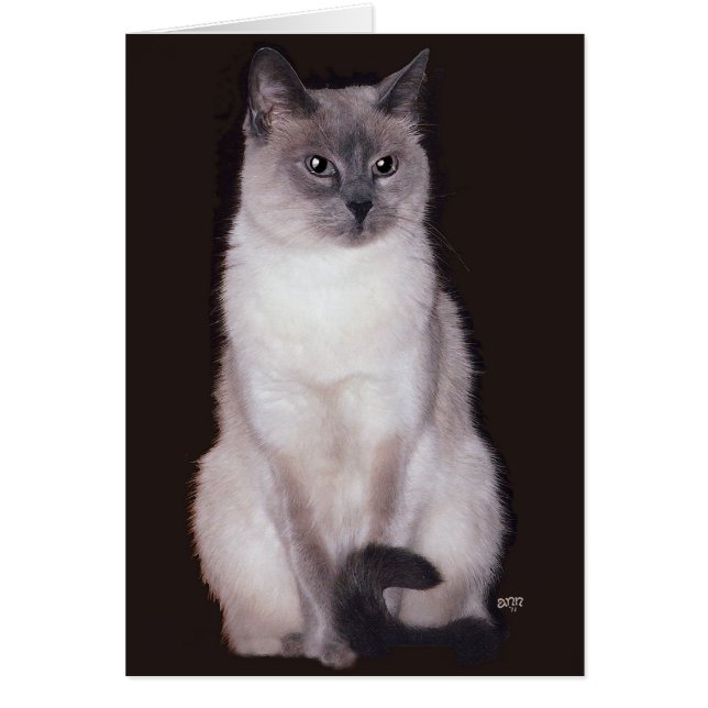 シャム猫 (正面)