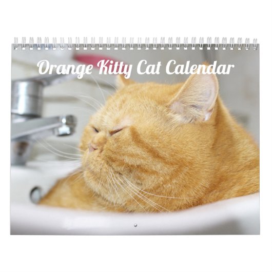 シャム猫2021カレンダー カレンダー (カバー)