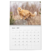 シャム猫2021カレンダー カレンダー (3月 2027)