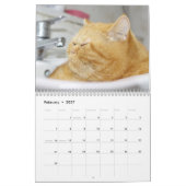 シャム猫2021カレンダー カレンダー (2月 2027)