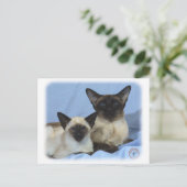 シャム猫9W055D-035 ポストカード (スタンド正面)