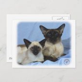 シャム猫9W055D-035 ポストカード (正面/裏面)