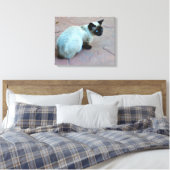 シャム猫 キャンバスプリント (インサイチュ (寝室))