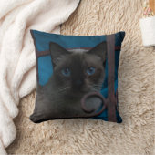 シャム猫 クッション (ブランケット)