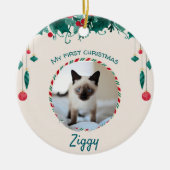 シャム猫 セラミックオーナメント (正面)