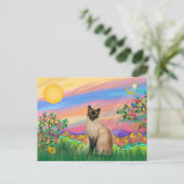 シャム猫 - デイ・スター ポストカード (スタンド正面)