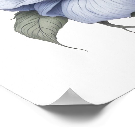 シャム猫 ポスター (角)