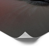 シャム猫 ポスター (角)