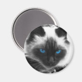 シャム猫 マグネット (正面/裏面)