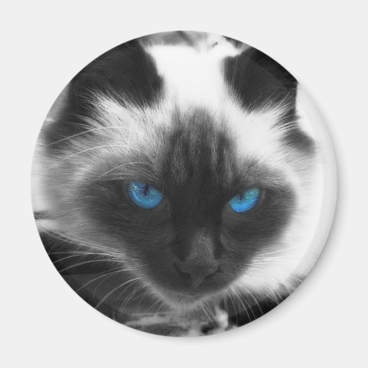 シャム猫 マグネット (正面)