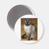 シャム猫 マグネット (正面/裏面)