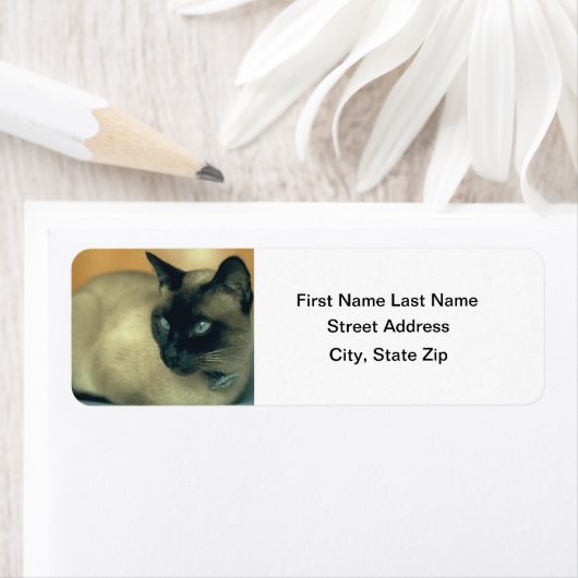 シャム猫 ラベル (インサイチュ)