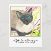 シャム猫 – 「人生はいつも私のために働いている！」 ポストカード (正面)