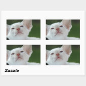 シャム猫 長方形シール (シート)