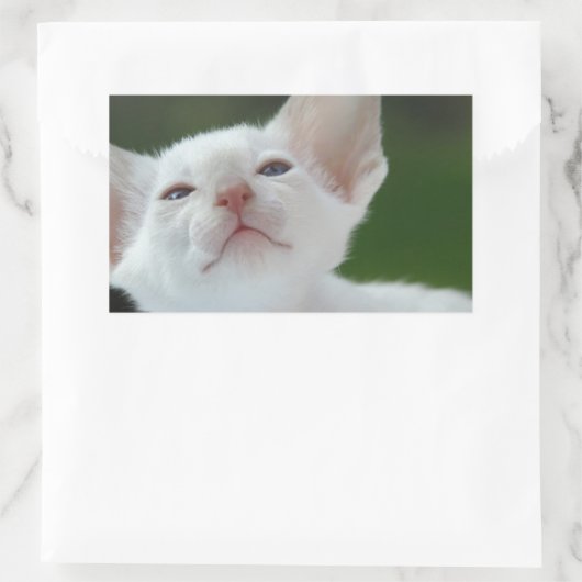 シャム猫 長方形シール (バッグ)