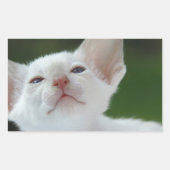 シャム猫 長方形シール (正面)
