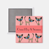 シャム磁石によって所有される マグネット (正面/裏面)