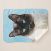 シャム絵画猫の可愛いオリジナル猫アート シェルパブランケット (正面(横))