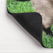 シャム美しい マウスパッド (コーナー)