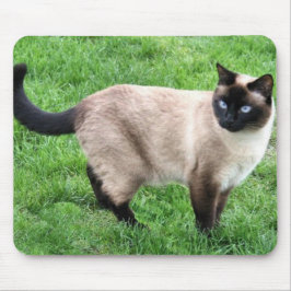 シャム美しい マウスパッド