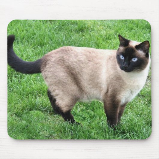 シャム美しい マウスパッド (正面)