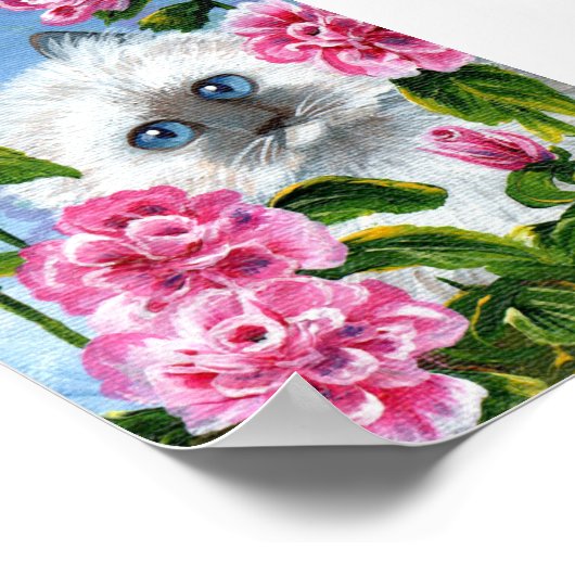 シャム語ラグドール猫ピンクのバラ作成アート ポスター (角)