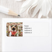 シャム語猫好きをテーマにした猫クリスマス ラベル (インサイチュ)