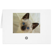 シャム語  (裏面横)