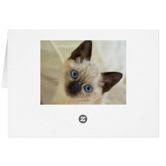 シャム語  (裏面横)