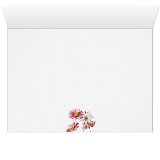 シャム語  (内部横(下))