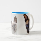 シャム語  ツートーンマグカップ (正面右)