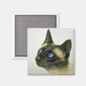 シャム語(ヘッド勉強) マグネット (正面/裏面)