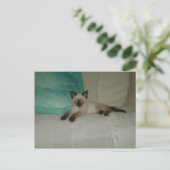 シャム語 ポストカード (スタンド正面)