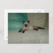 シャム語 ポストカード (正面/裏面)