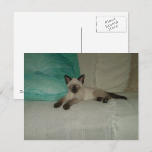 シャム語 ポストカード (正面/裏面)