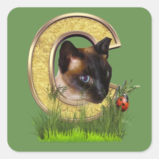 シャム語 – 大文字 – モノグラム文字C スクエアシール (正面)