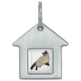 シャム長毛猫 ペットネームタグ