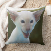 シャム間抜けゼ クッション (ブランケット)