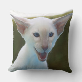 シャム間抜けゼ クッション